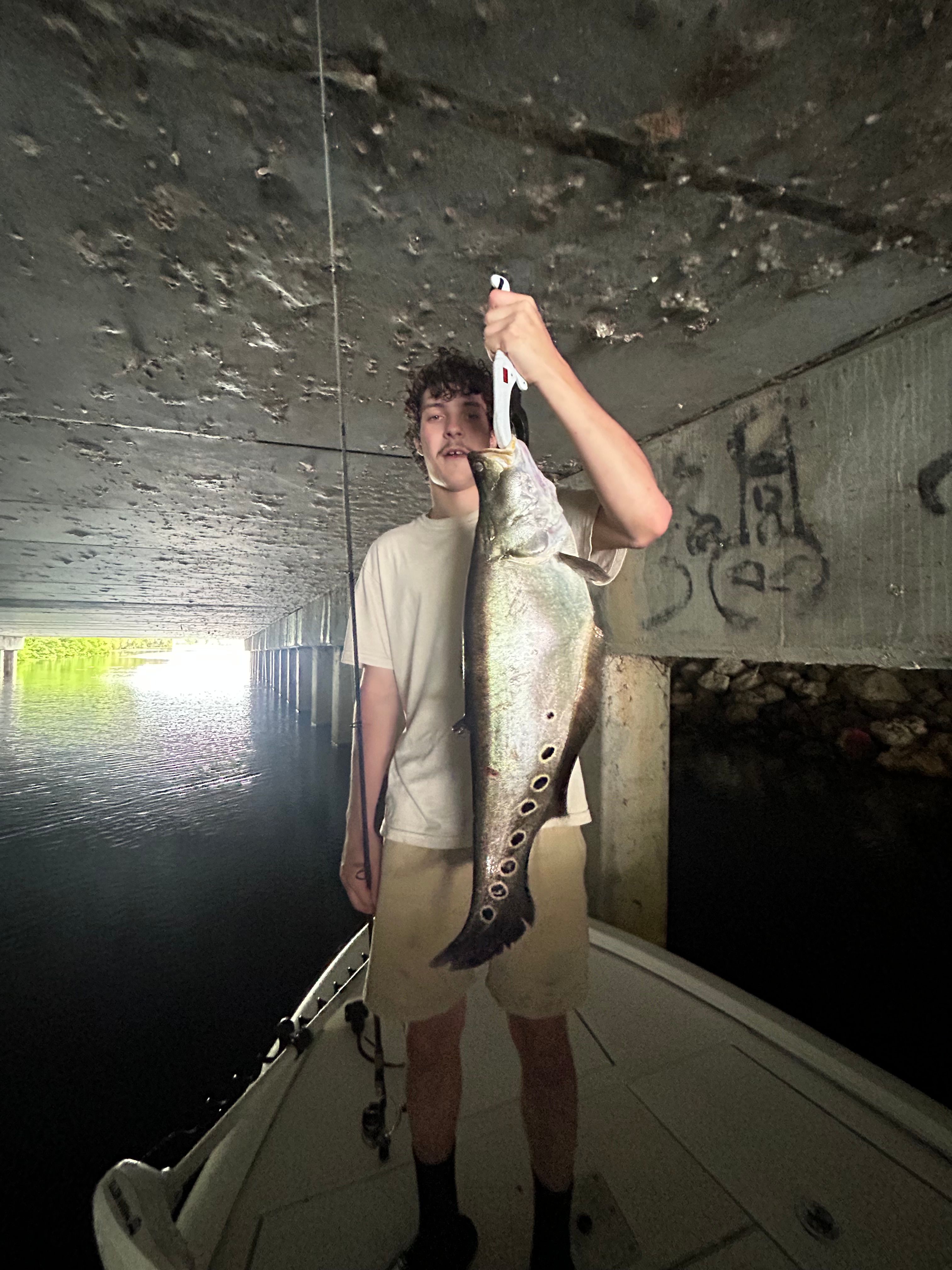 Large fish catch displayed on dock after successful fishing trip
