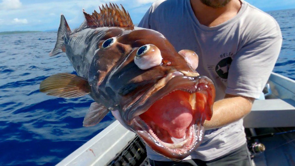 Fishing in an unknown location
