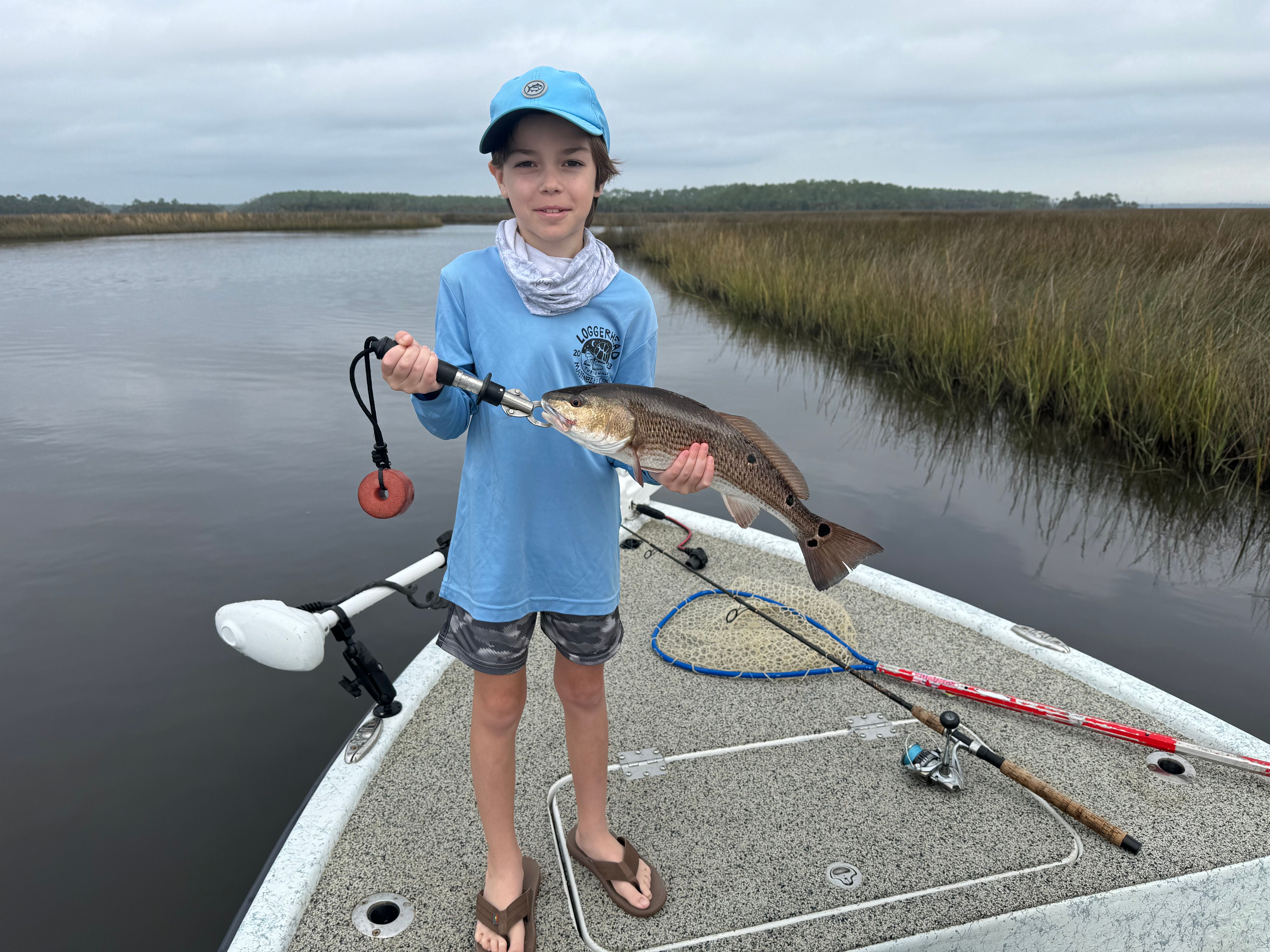 Redfish, 17 inches, fishing