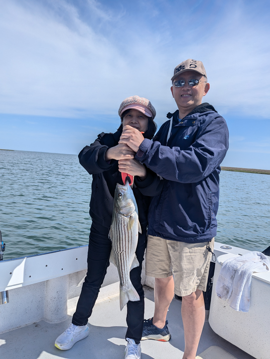 Striped bass morning—brisk!
