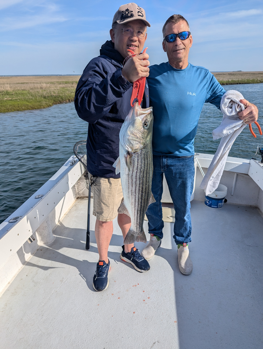 A big striped bass caught on a partly cloudy day!
