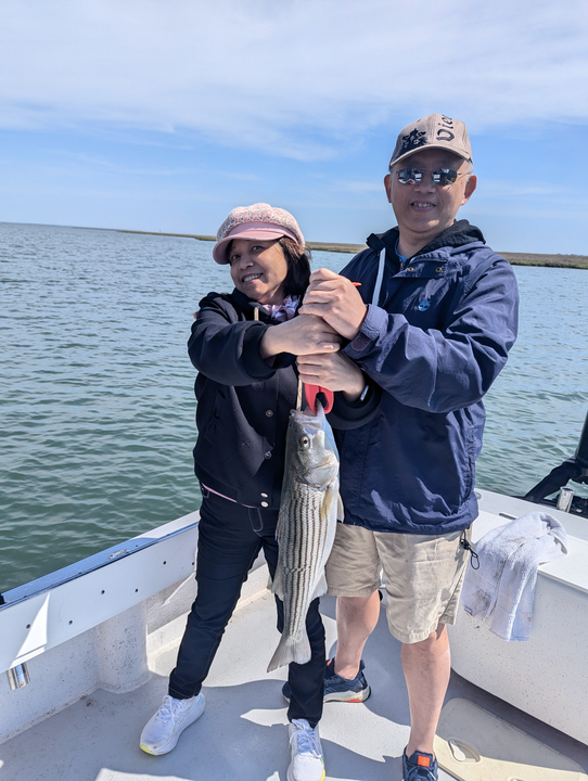 Reeled in a big striped bass at 500 Bayshore Ave under partly cloudy skies!