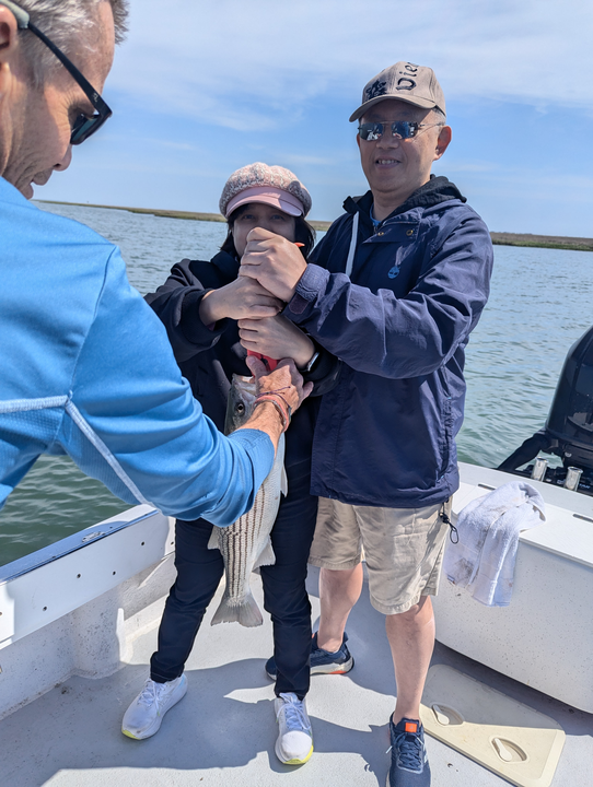Striped bass caught while employing a variety of fishing techniques on a partly cloudy day!