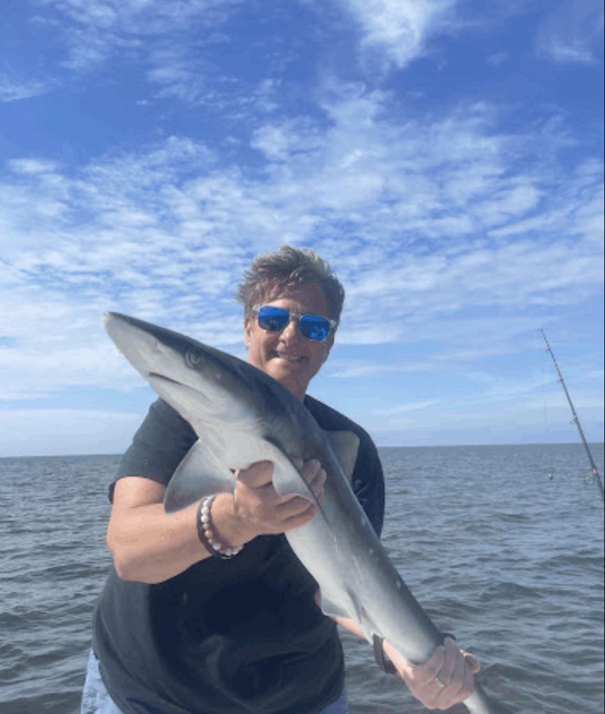 A single Atlantic Sharpnose Shark, a 20-inch fishing catch