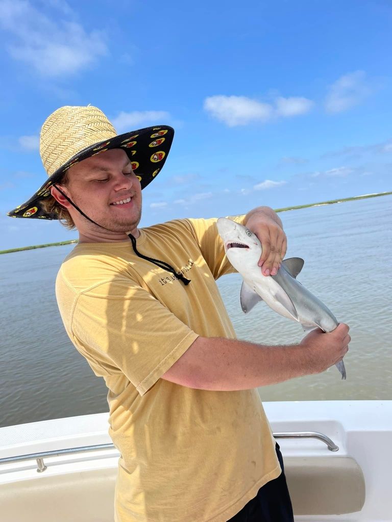 Blacktip shark, 7 inches, fishing