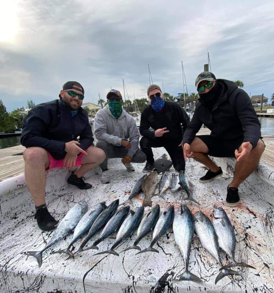 5 Atlantic Bonito fish caught during fishing trip