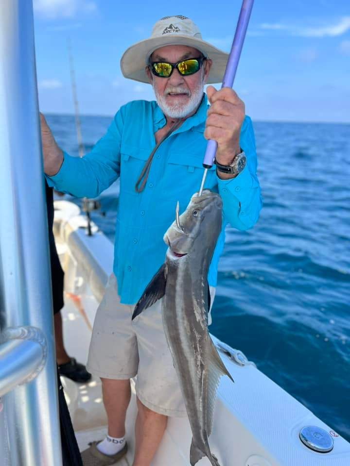 Cobia, a large fish caught while fishing