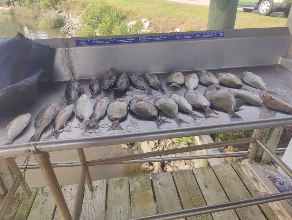 Fishing in unknown location