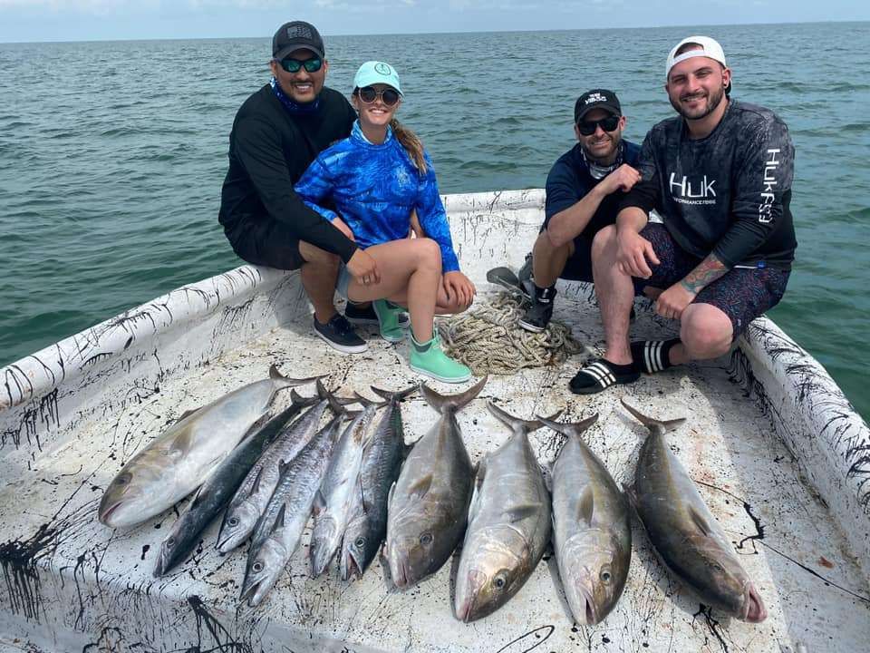 6 Greater Amberjack fish caught in unknown location