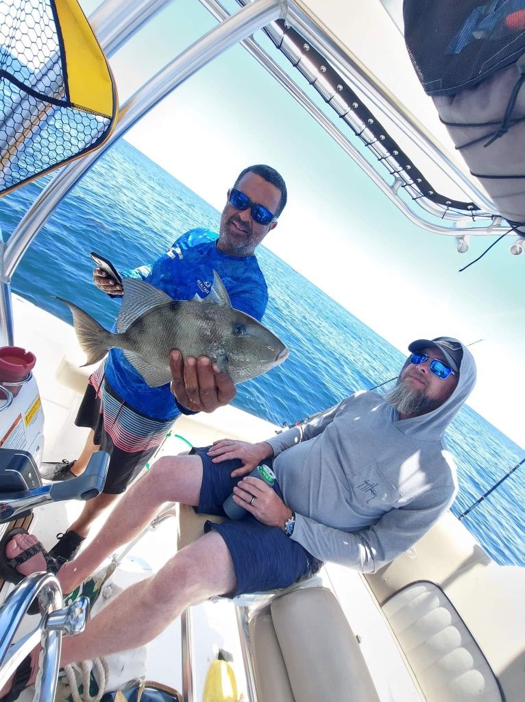 Catching a grey triggerfish while fishing