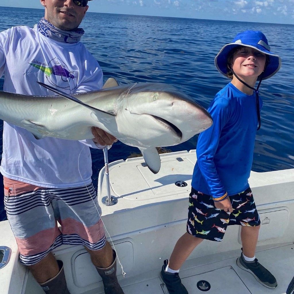 Majestic sand tiger shark caught while fishing