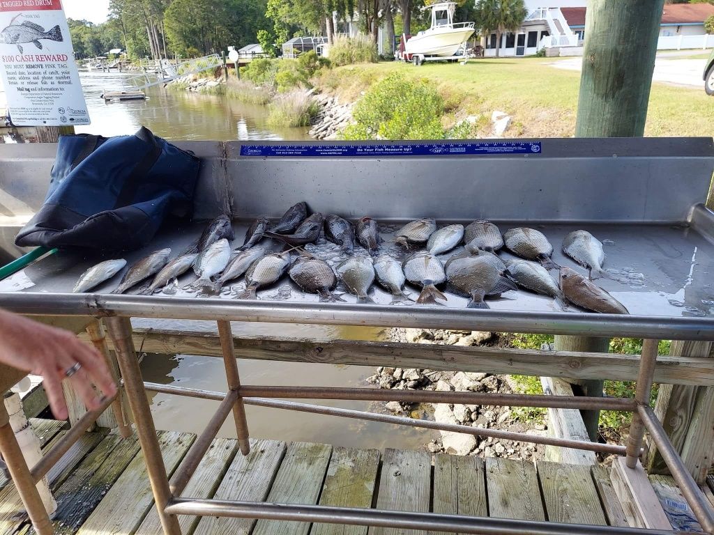 Scenic fishing location with beautiful landscape