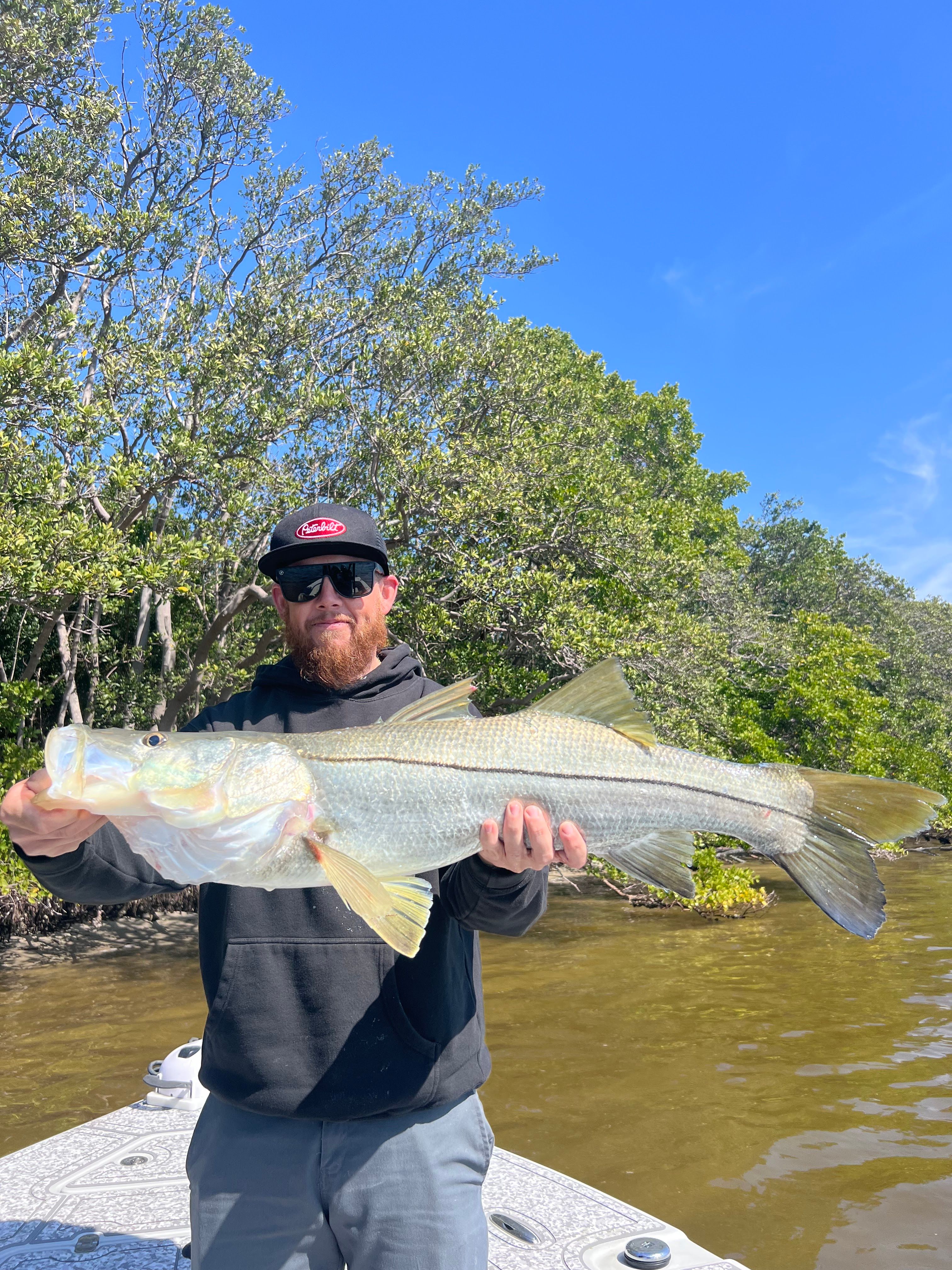 Snook fish caught while fishing