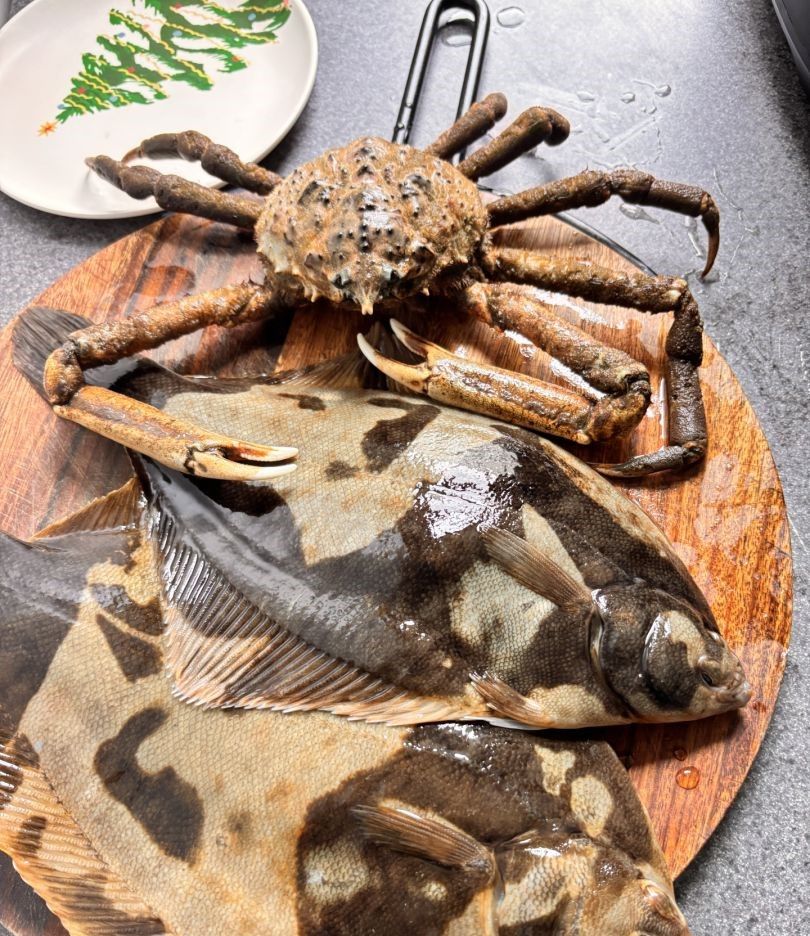 African Pompano fish caught while fishing
