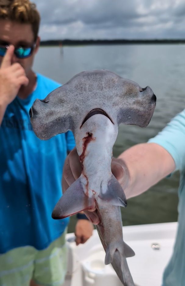 An angler holding a freshly caught fish