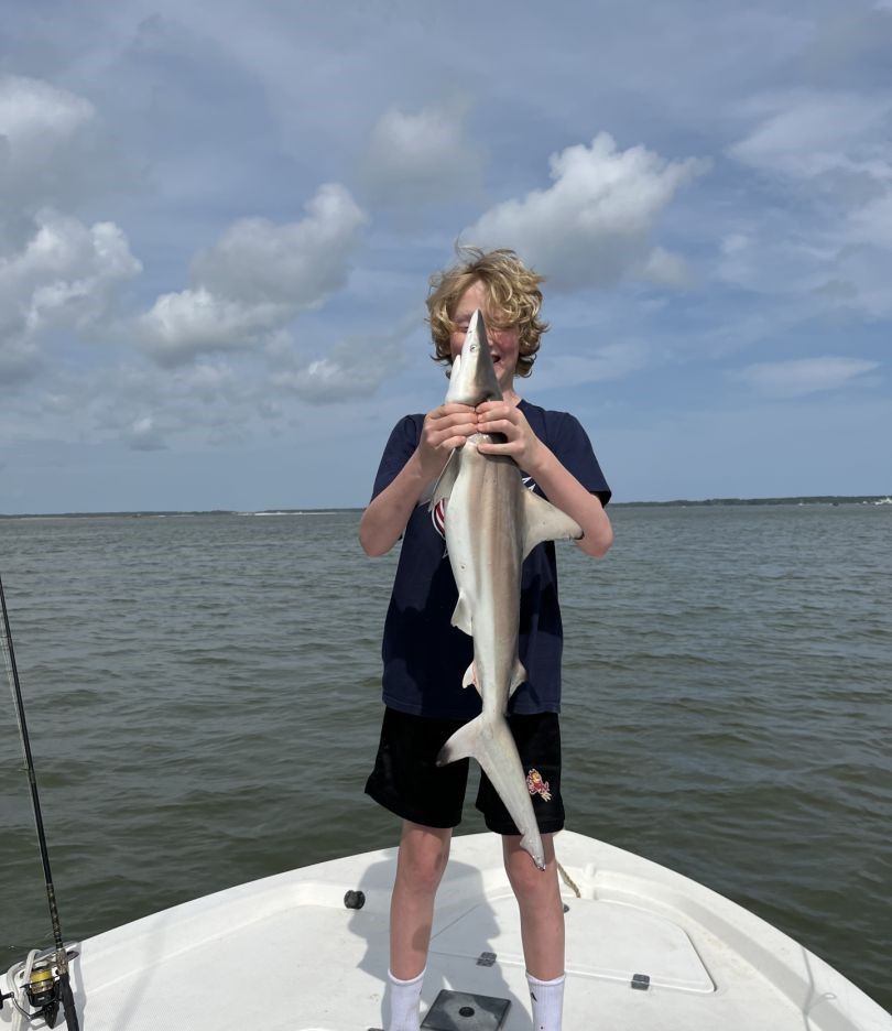 Photograph of a 24-inch Atlantic Sharpnose Shark caught while fishing.