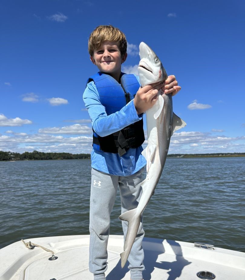 A single Atlantic Sharpnose Shark, a 35-inch fish caught while fishing