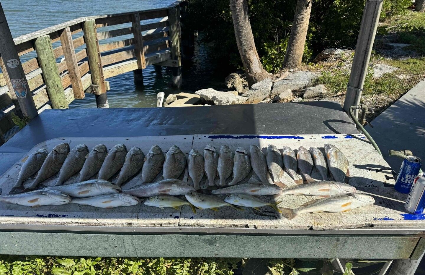 Great fishing adventure at unknown location