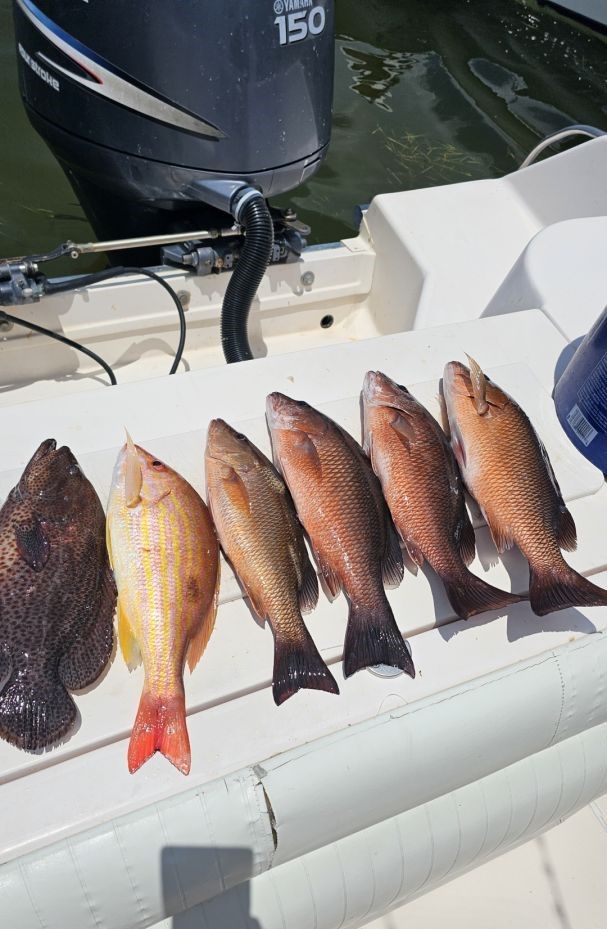 Great fishing trip with 4 fish caught