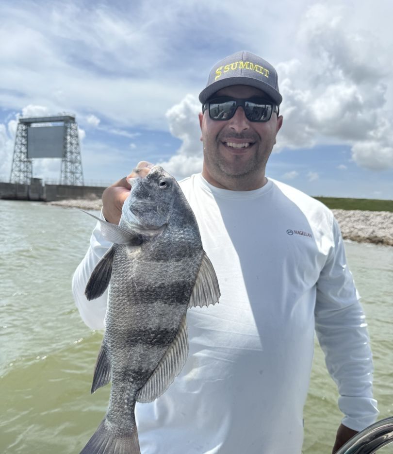 Black drum fish caught while fishing
