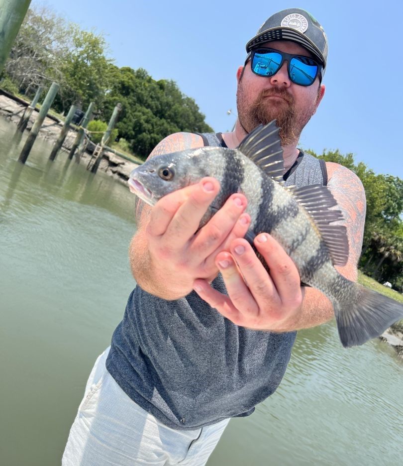 Black Drum fish caught while fishing