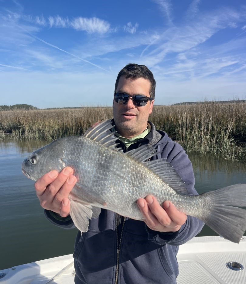 A black drum fish being caught while fishing
