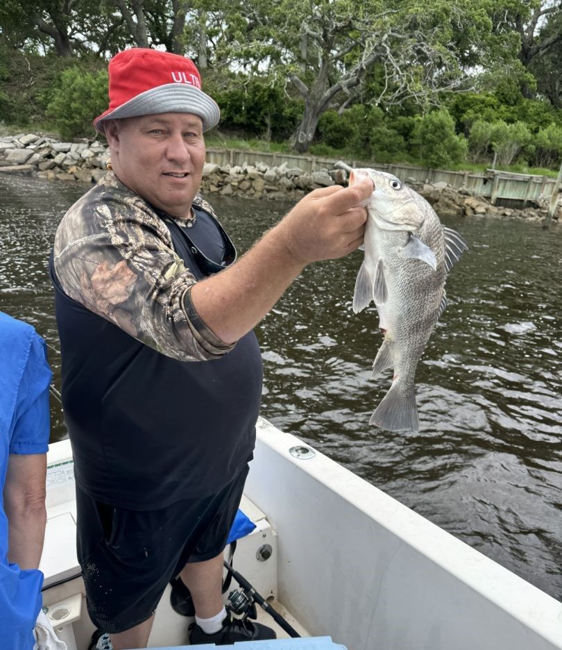 Black drum fish catch displayed on fishing boat