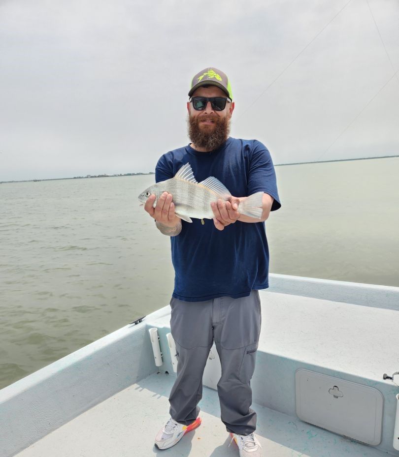 Black drum fish being held on fishing boat