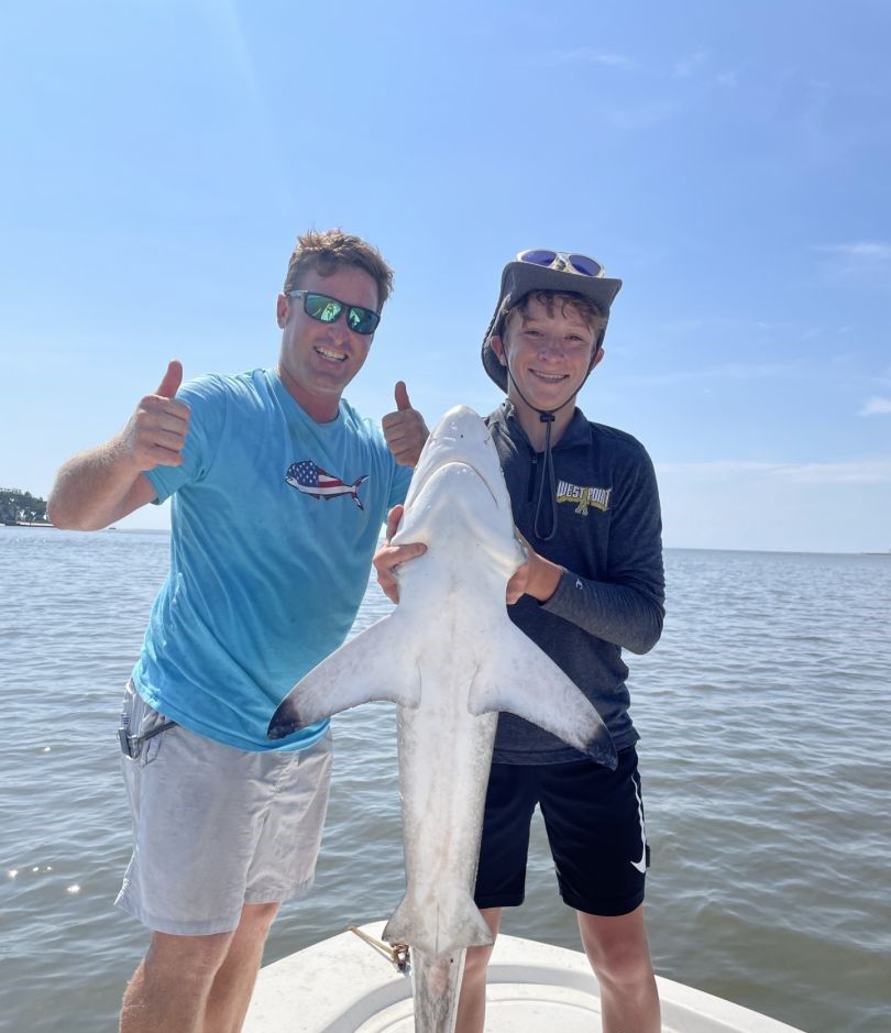 Blacktip shark, 29-inch fish caught while fishing
