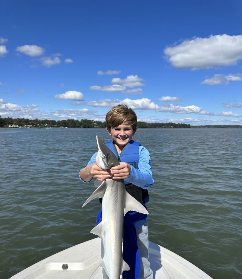 Blacktip shark, 20 inches, fishing