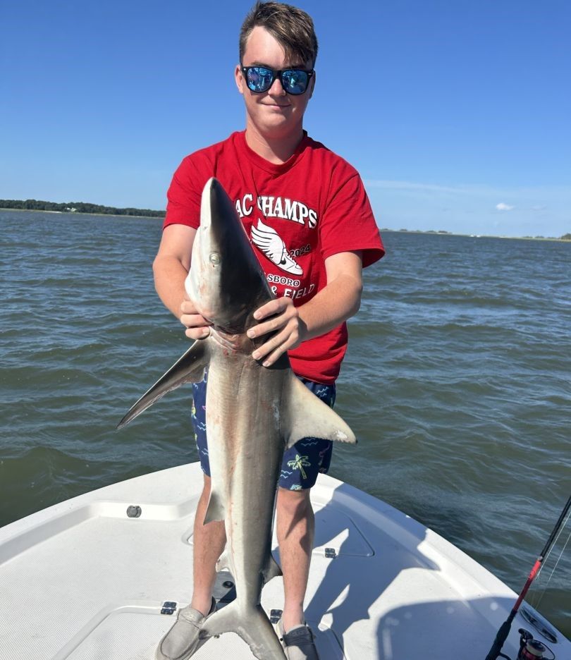 A blacktip shark, a 30-inch fish, being caught while fishing