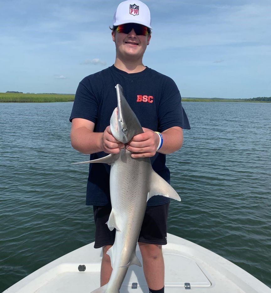 Blacktip shark caught while fishing