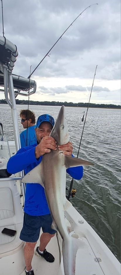 Blacktip Shark caught while fishing