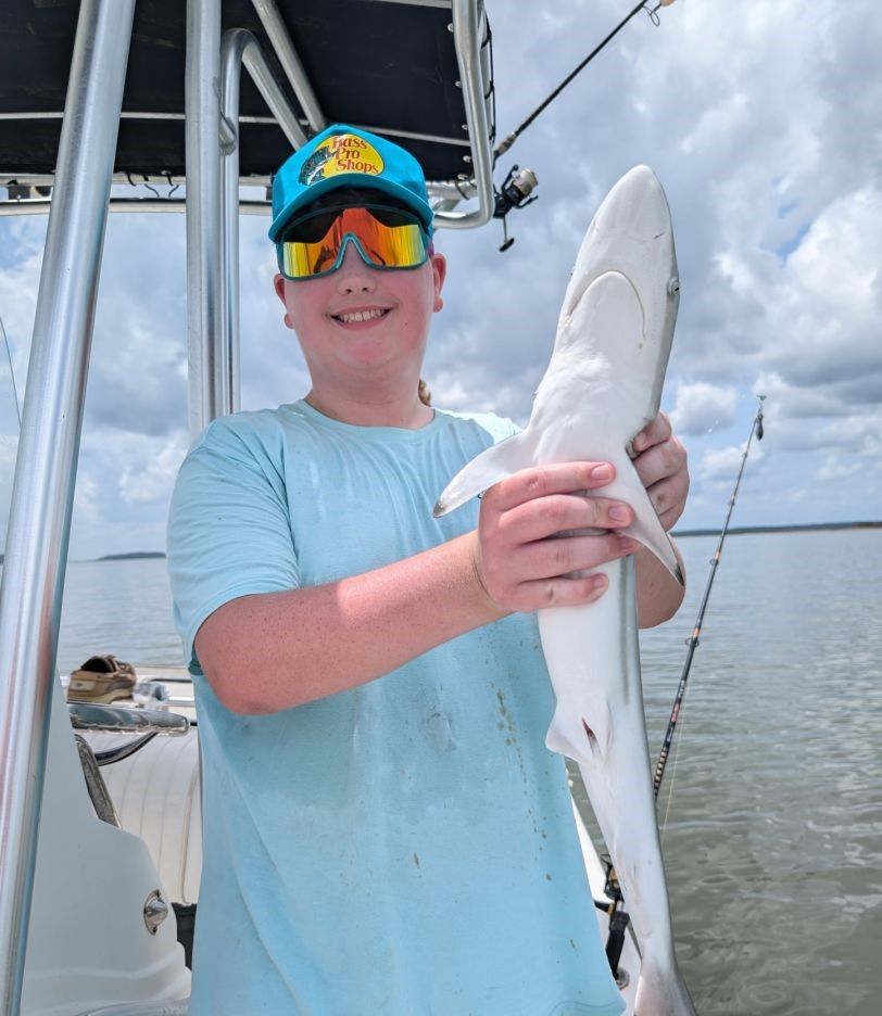 Blacktip Shark caught while fishing