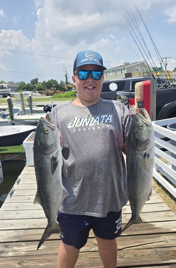 Two bluefish caught while fishing