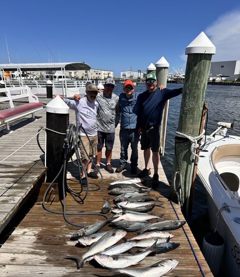 Successful bluefish fishing trip with multiple fish displayed on marina dock
