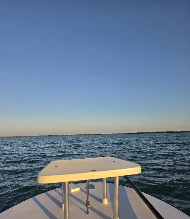 Boat deck view with T-top canopy on open water under clear blue sky