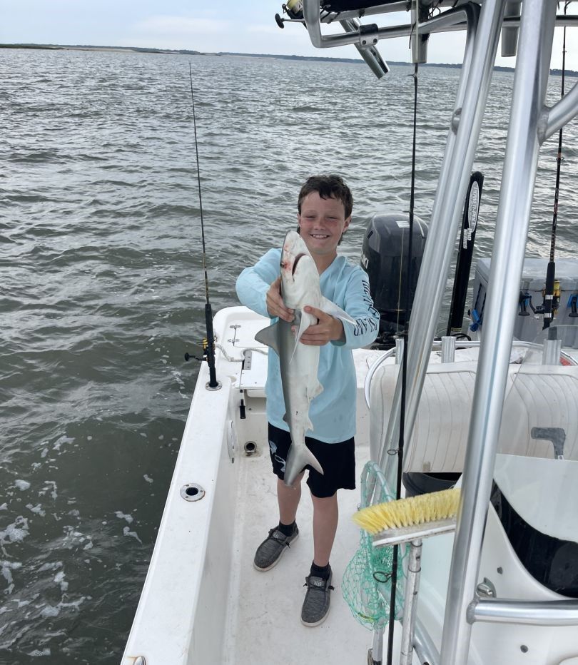 Bonnethead shark, 24 inches, fishing
