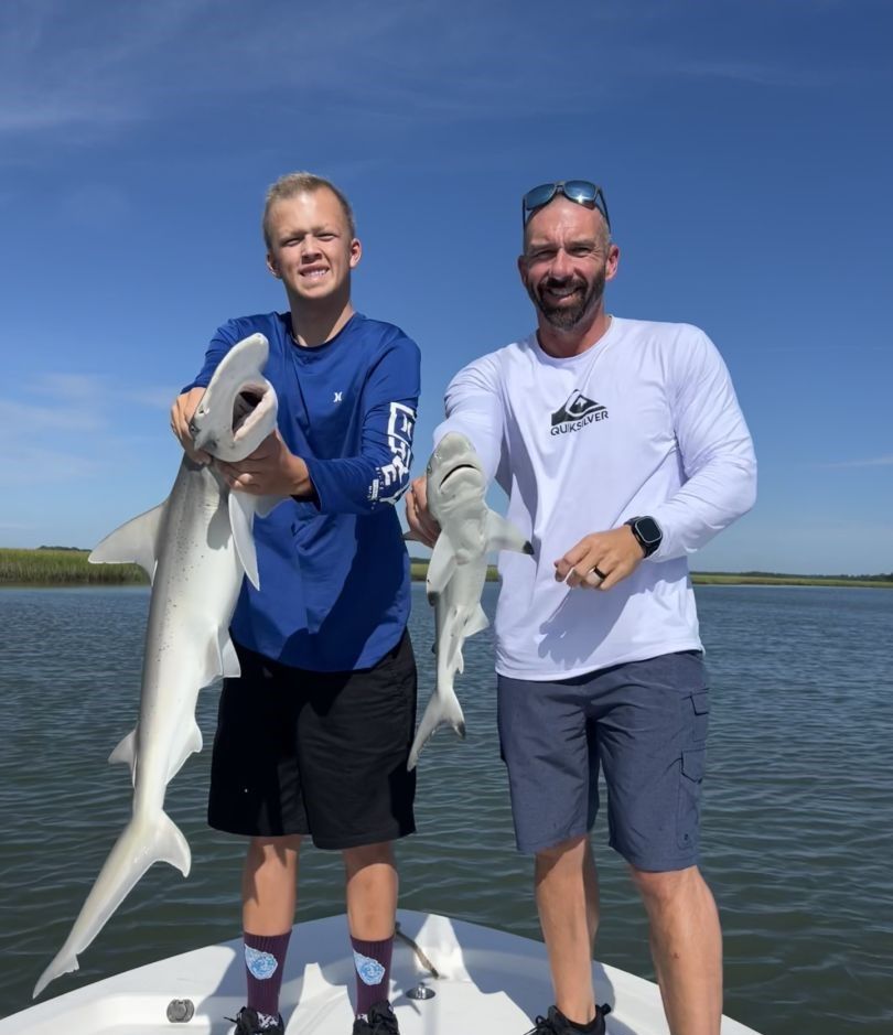 Two bonnethead sharks being fished