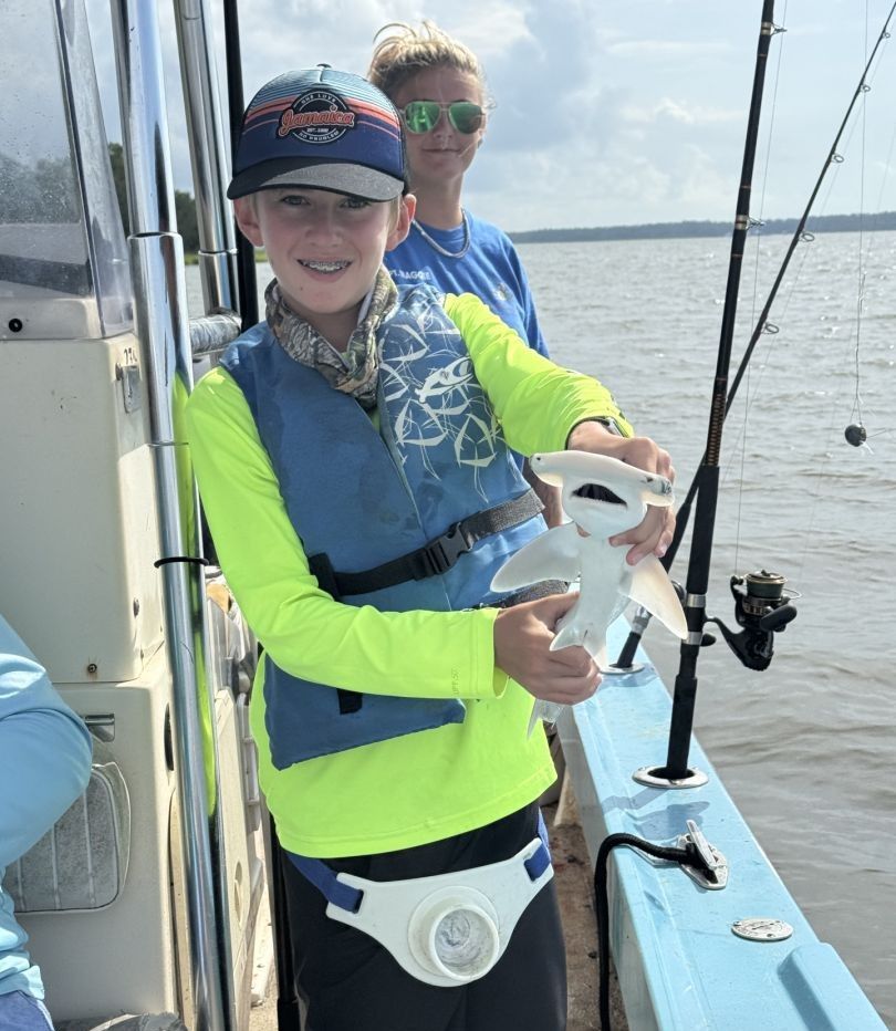 Bonnethead shark fishing