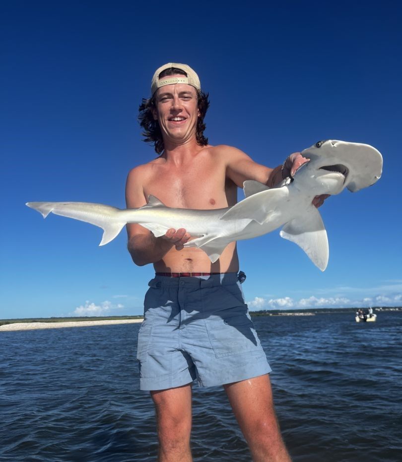 Bonnethead shark fishing