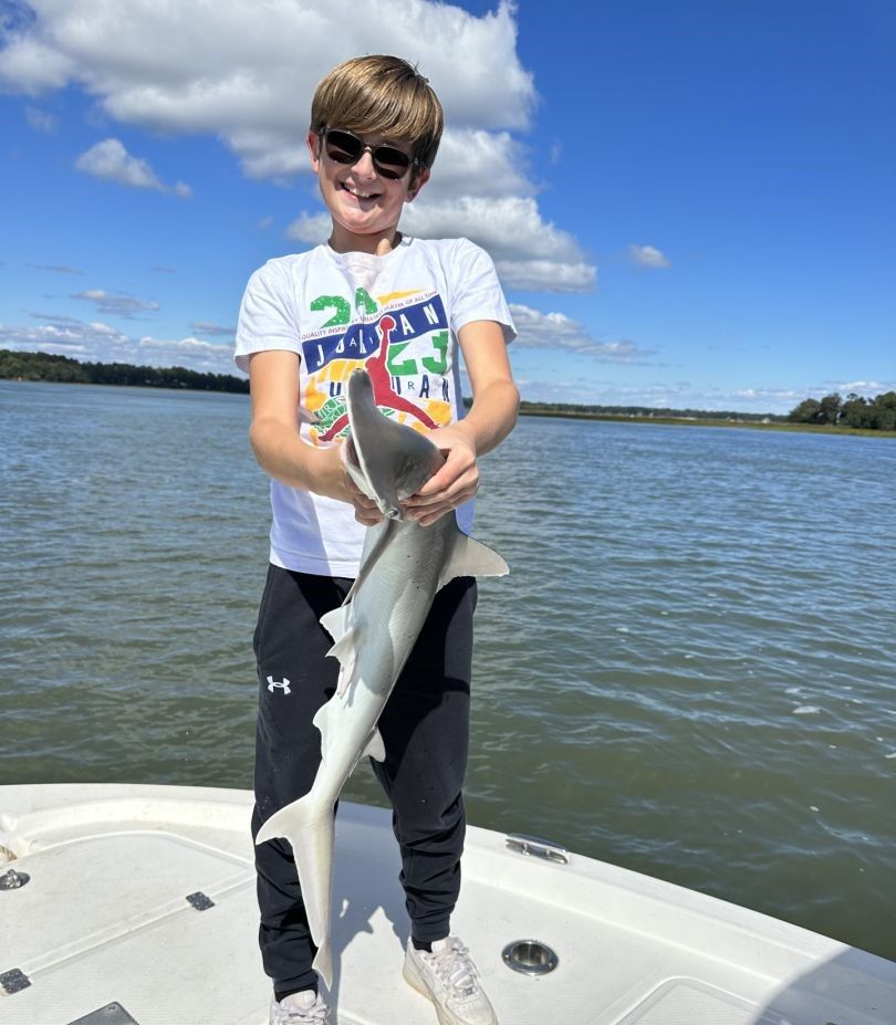 Bonnethead shark caught while fishing