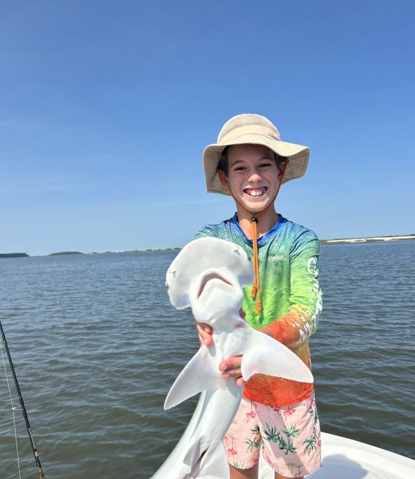 Bonnethead shark being caught by angler while fishing