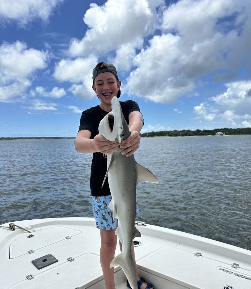 Bonnethead shark caught while fishing