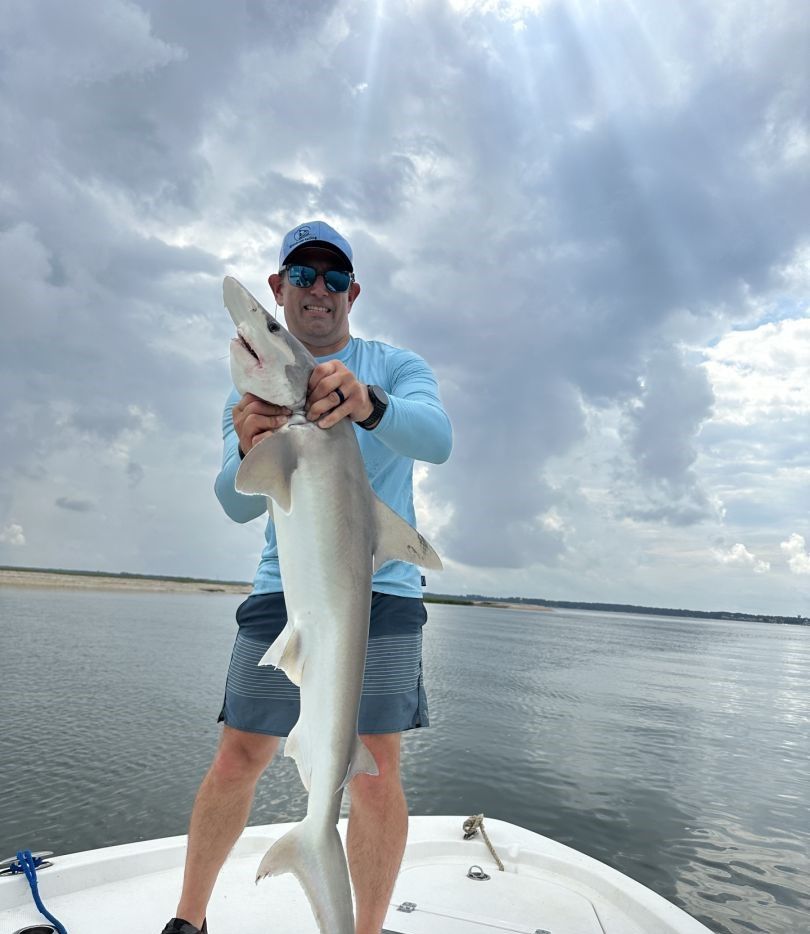 Bonnethead shark fishing