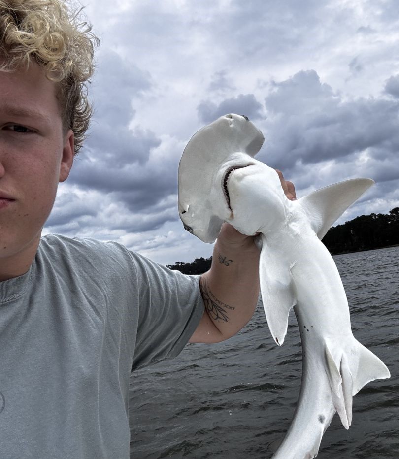 Bonnethead shark fishing adventure