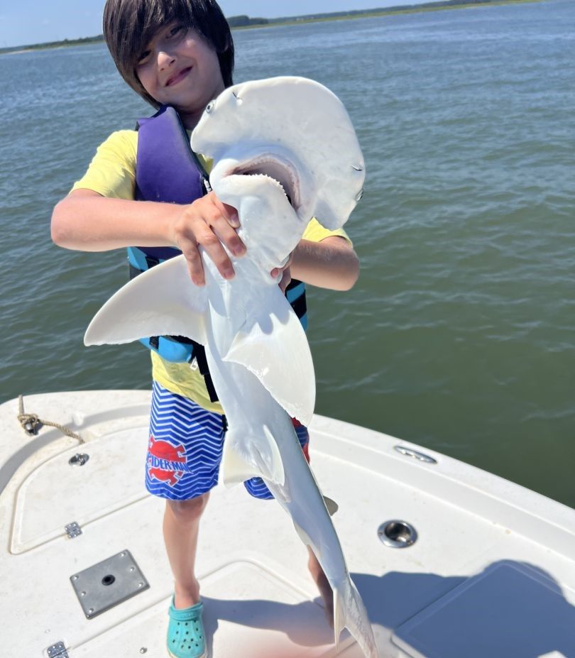 Bonnethead shark catching in unknown location