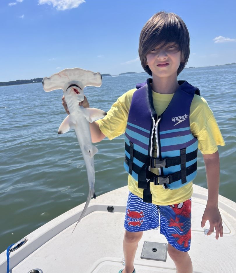Bonnethead shark fishing catch