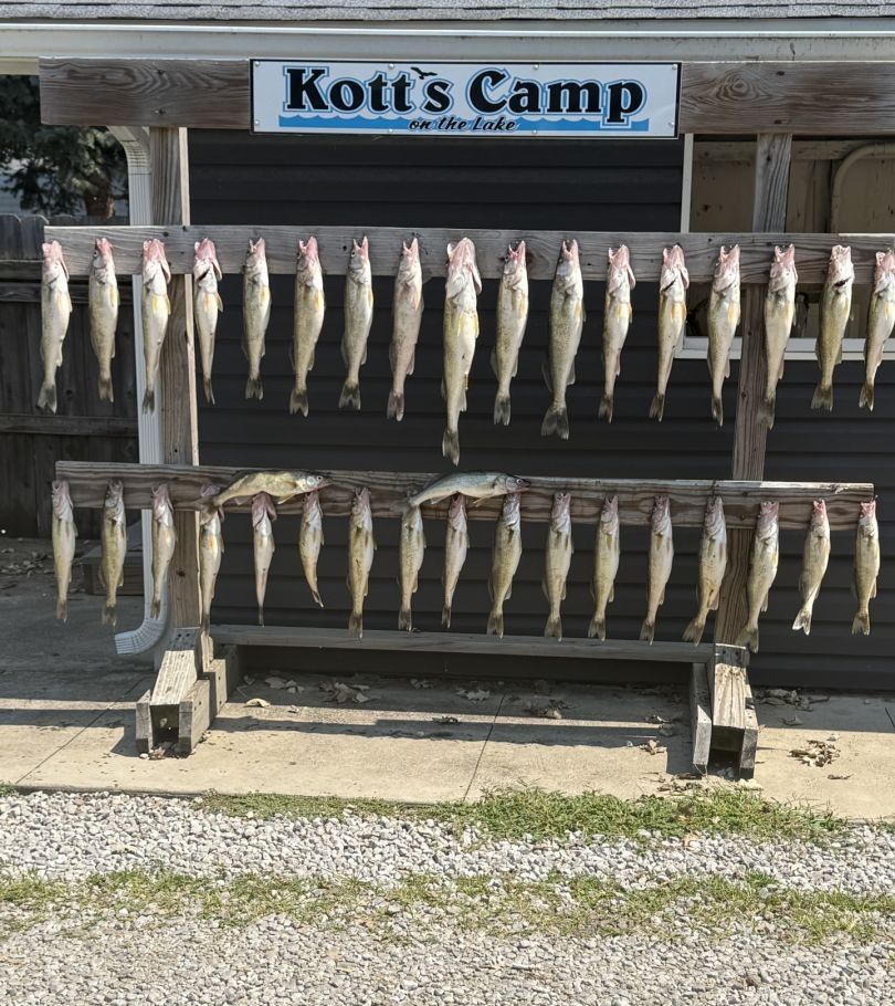 A picturesque fishing scene by the water