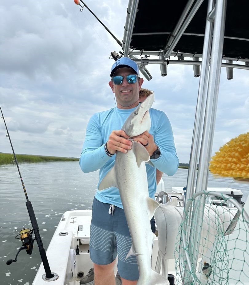 Blacktip shark, 30 inches, fishing